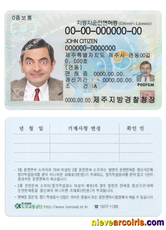 South Korea driving license